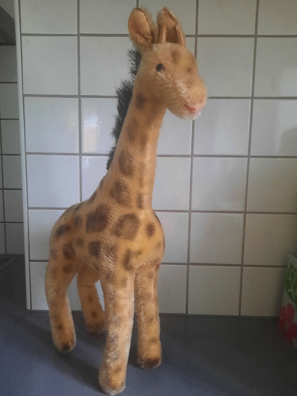 Steiff Giocattoli: STEIFF, grande GIRAFE, 50 cm. – Usato da Le Locle venduto da marylise01 1