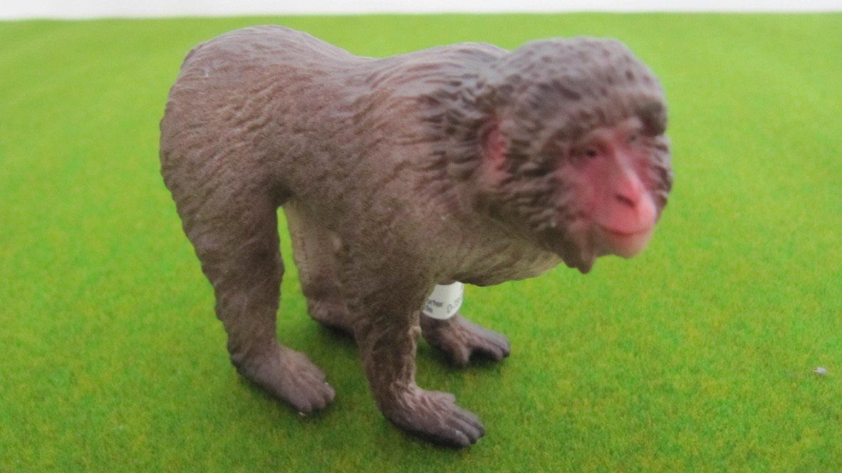 Schleich Jouets: Schleich Affen,  ( Schimpansen + Makake ) – Neuf (Voir description) à Brunnen par Kiwiland1 4