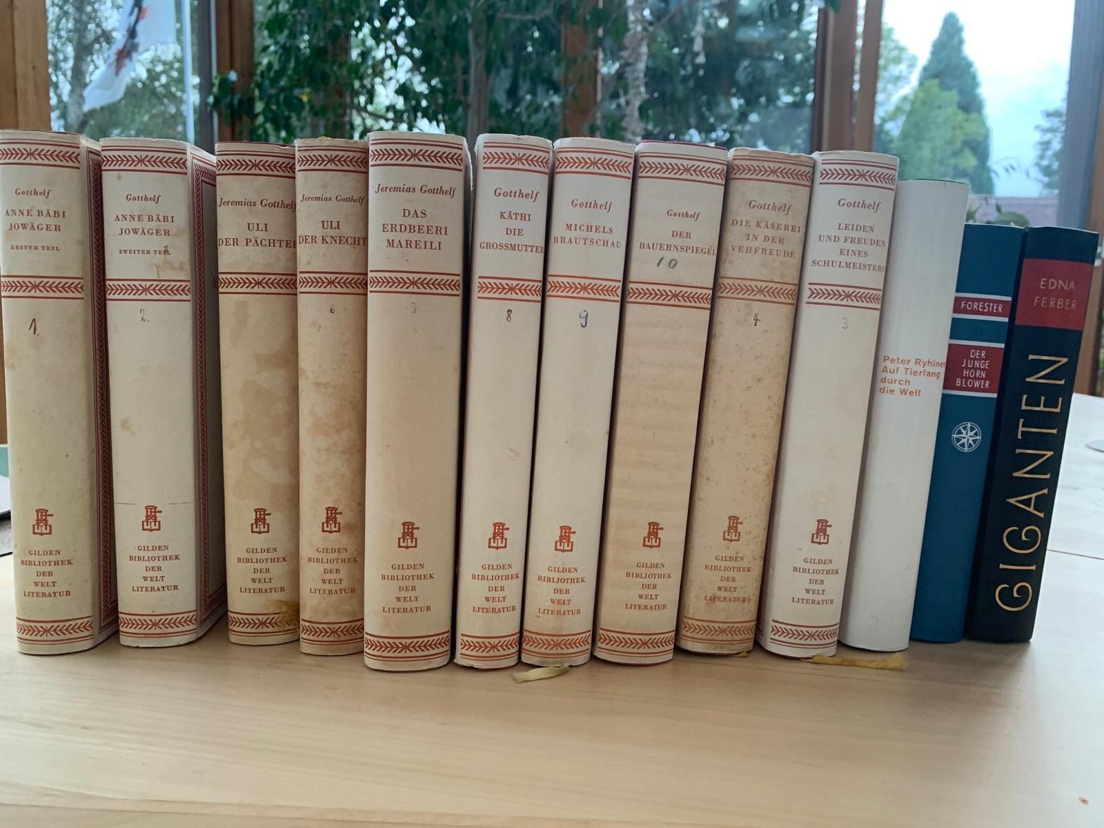 Libri: Gotthelf Bücher – Usato da Seengen venduto da luki0041