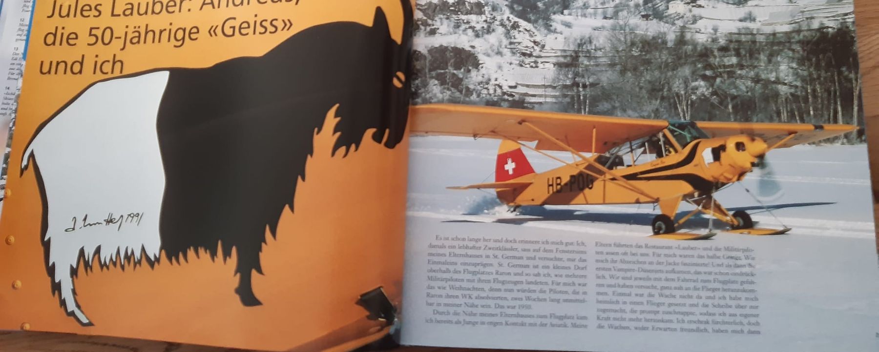 Livres: Höhenflüge Hermann Geiger Buch Gletscherflug – Neuf (Voir description) à Derendingen par Nellino01 2