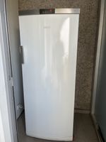 Tiefkühlschrank No Frost