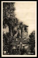 AK Brissago, Kirche mit Uhrturm und Palmen