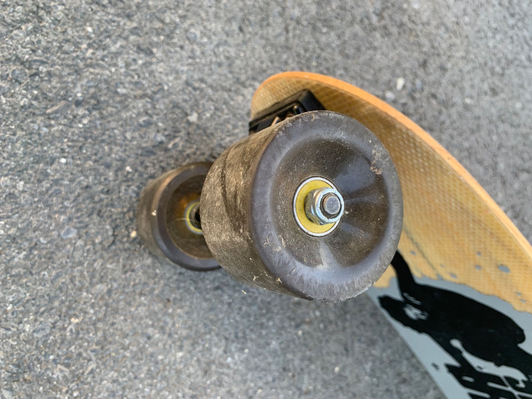 Indiana Skateboards: Indiana Skateboard Longboard Slalomboard – Usato da Belp venduto da ric_xz59 2
