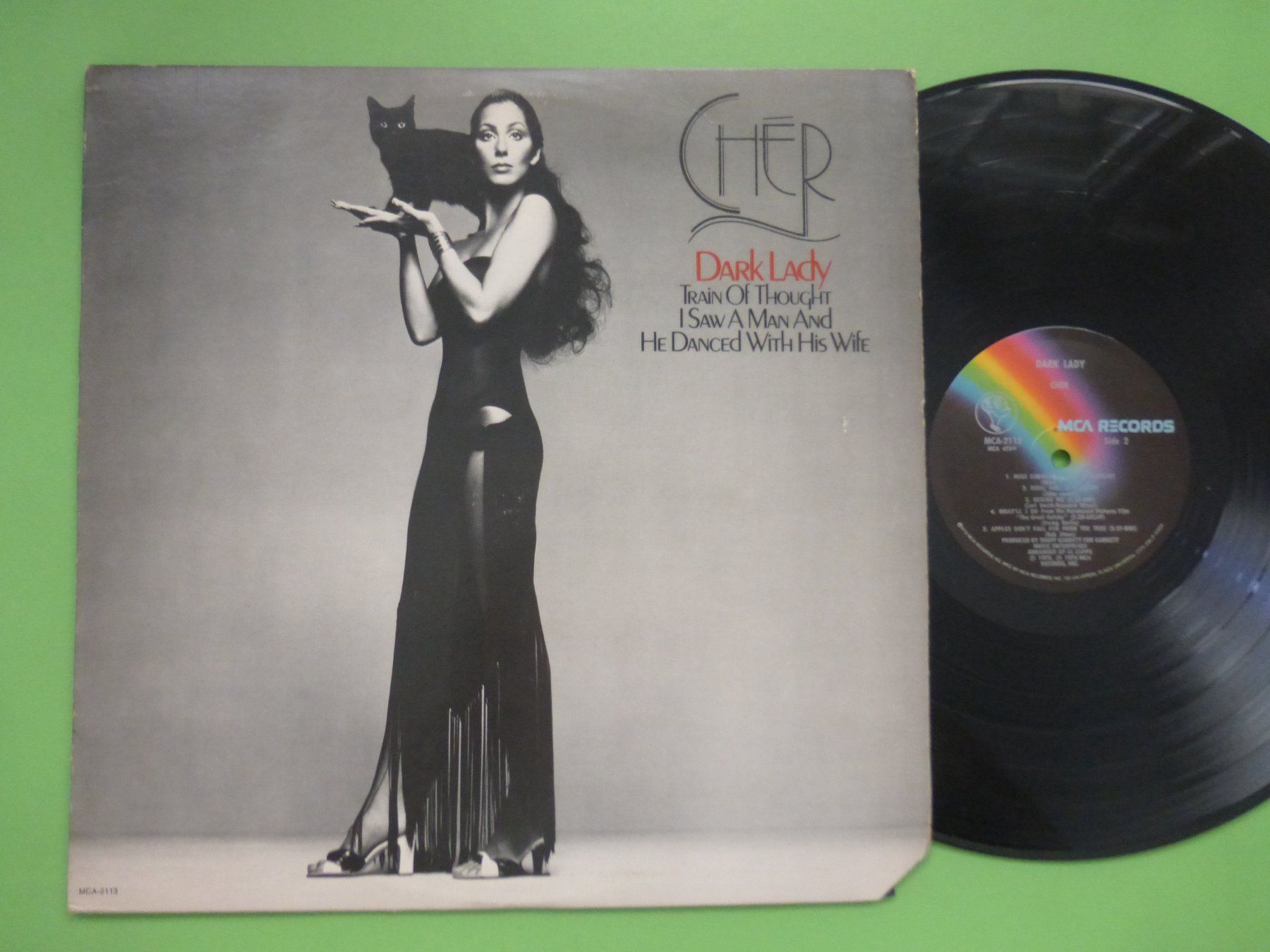 Dischi in vinile: Chér – Dark Lady – Usato da Zürich venduto da Swiss57