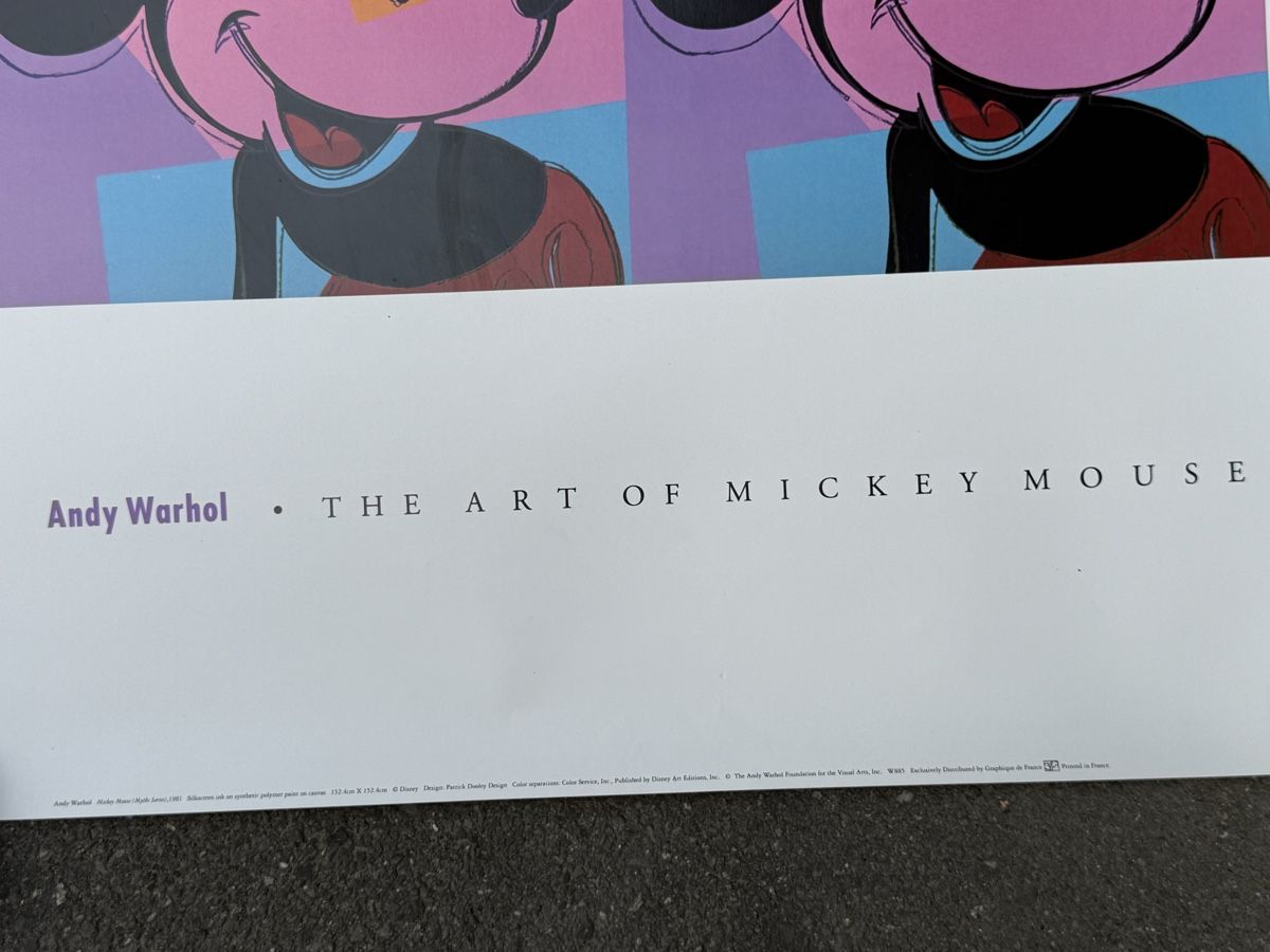Foto & Immagini: Andy Warhol Mickey Mouse 1981 Pop Art Poster – Usato da Konolfingen venduto da petzipetz 1