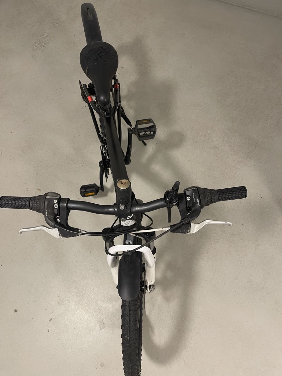 Biciclette: California 24 Zoll – Usato da Grenchen venduto da mersinli 4
