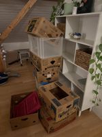 Zügelkisten