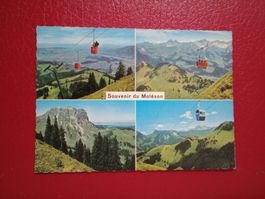 AK Souvenir du Moleson mehrbildrig