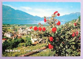 Tenero (Lago Maggiore)