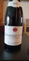 LEJEUNE POMMARD 1er Cru 2023 LES POUTURES