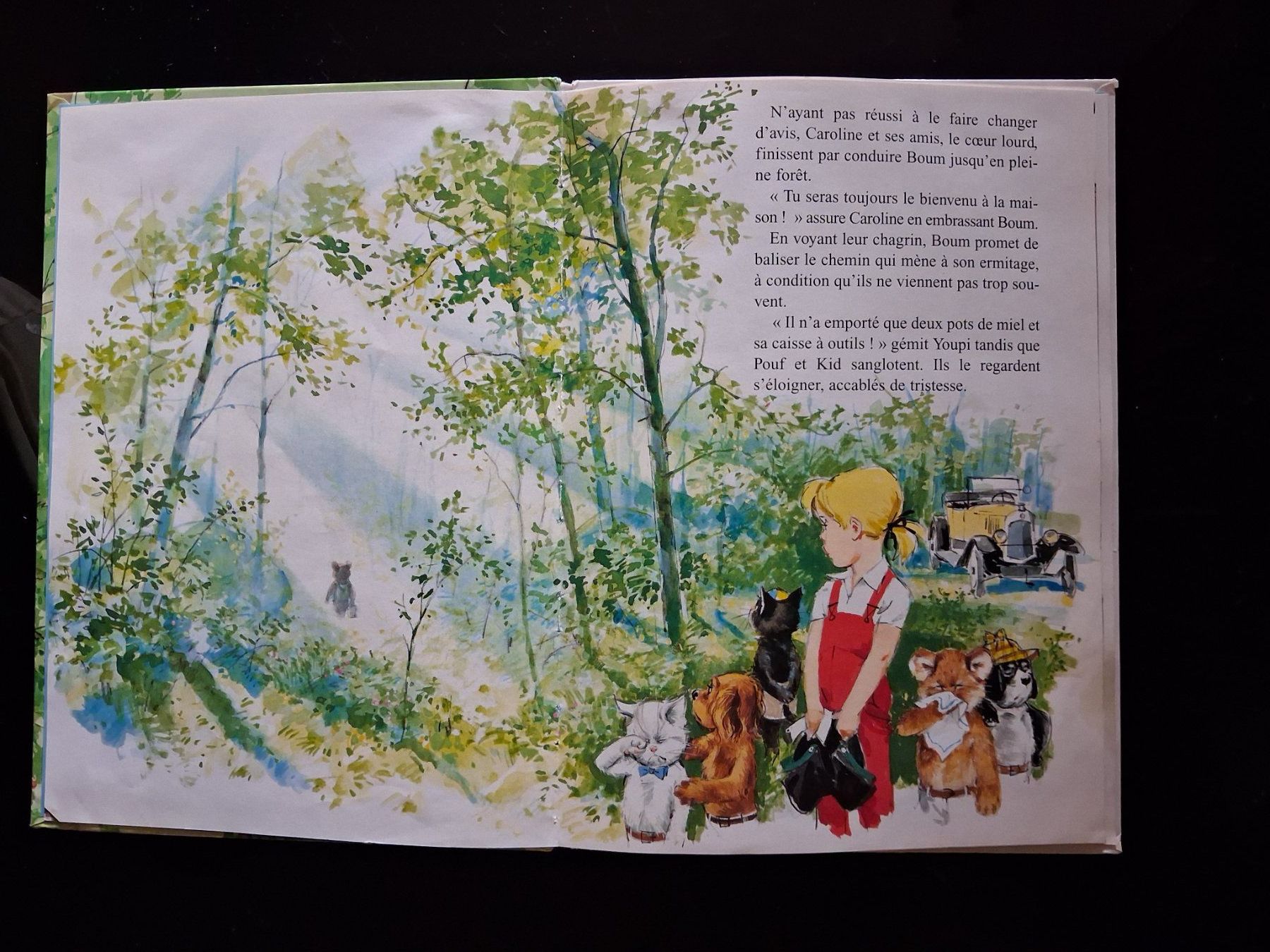 Bücher: Caroline et Boum ermite - Pierre Probst - 1997 – Gebraucht aus Cartigny von pgc_fk9s 2