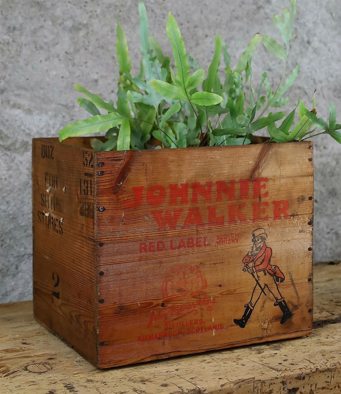 Casse di trasporto: Holzkiste Whisky "Johnnie Walker" – Usato da Birrwil venduto da brandschatz_birrwil