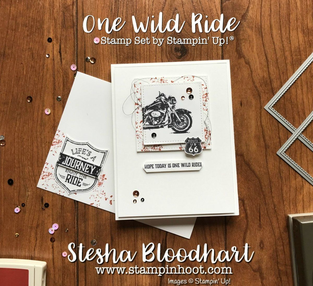 Stampin' up! Timbri: Stempelset von Stampin up "One wild ride" – Usato da Frauenkappelen venduto da 77Adi 7
