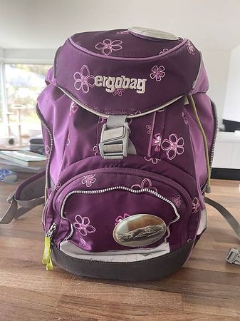 Ergo Schulsack