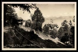 AK Sion /Mayens de Sion, Hôtel Rosa Blanche, Diablerets, Wil