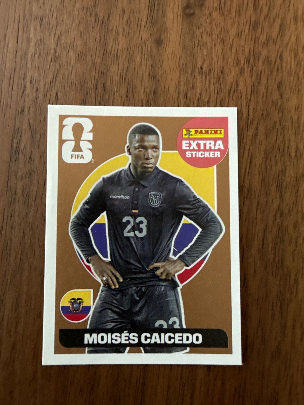 Panini Sammelbilder & Trading cards: Panini Extra Sticker Moises Caicedo – Neu (gemäss Beschreibung) aus Luzern von JCFP