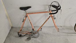 Renvelo Rennrad 