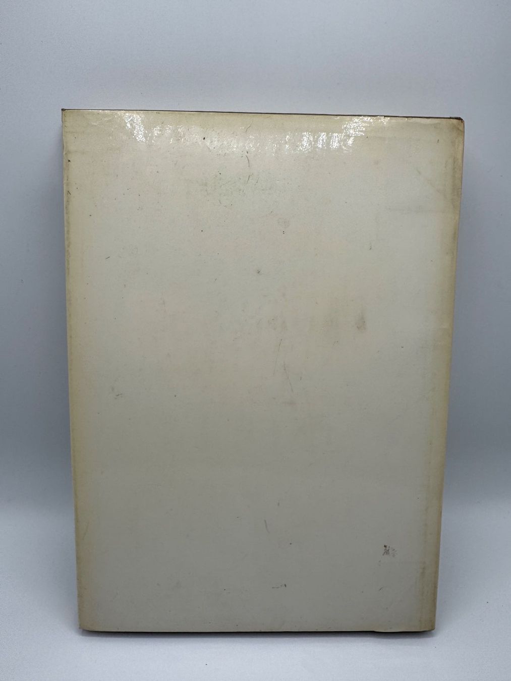 Bücher: Buch  Flämische Malerei – Gebraucht aus Sachseln von BONATI01 2