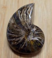 Ammonit 165g