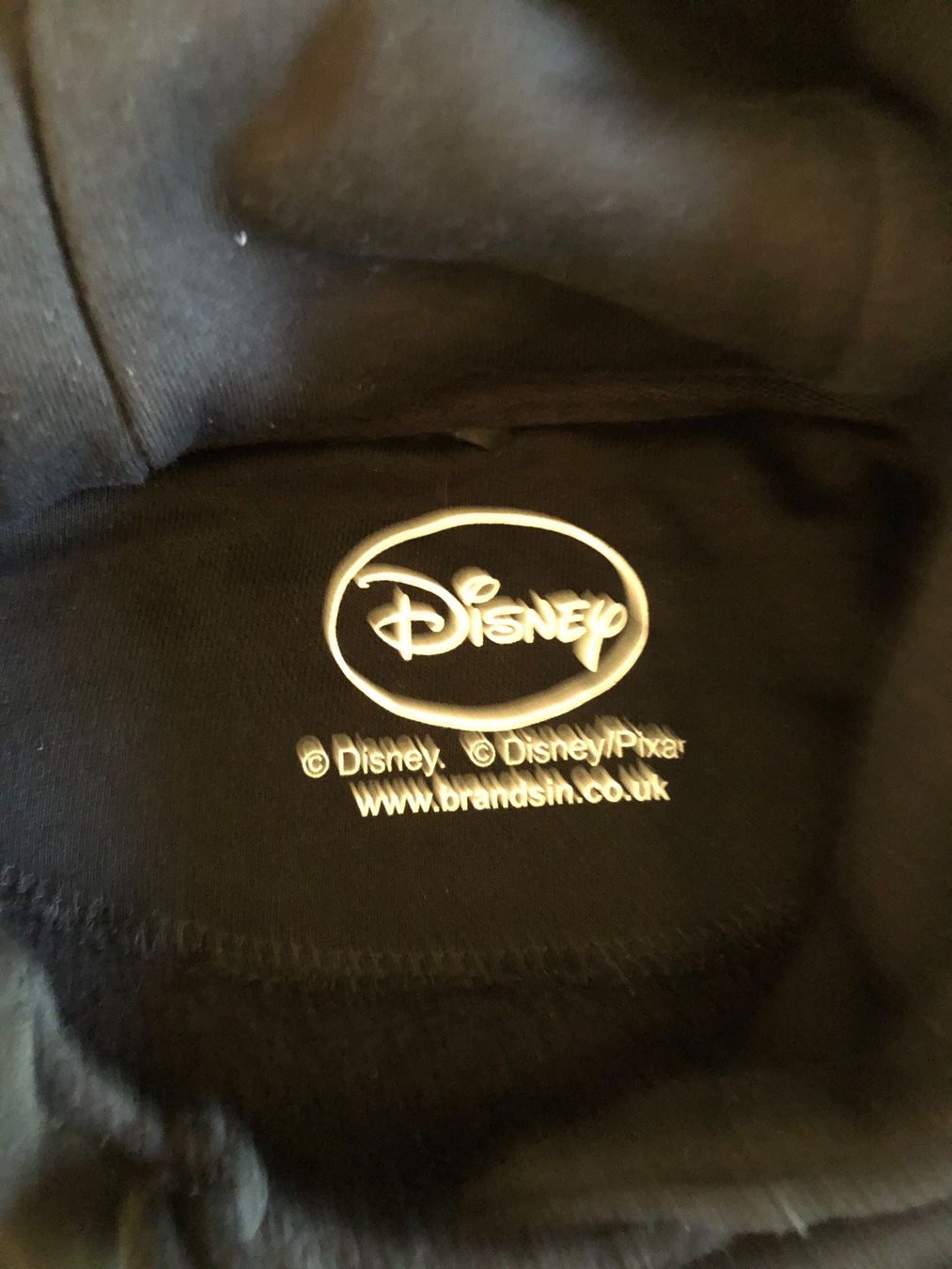 Maglioni & Felpe: Disney Hoodie – Usato da Walkringen venduto da buetzu08 2