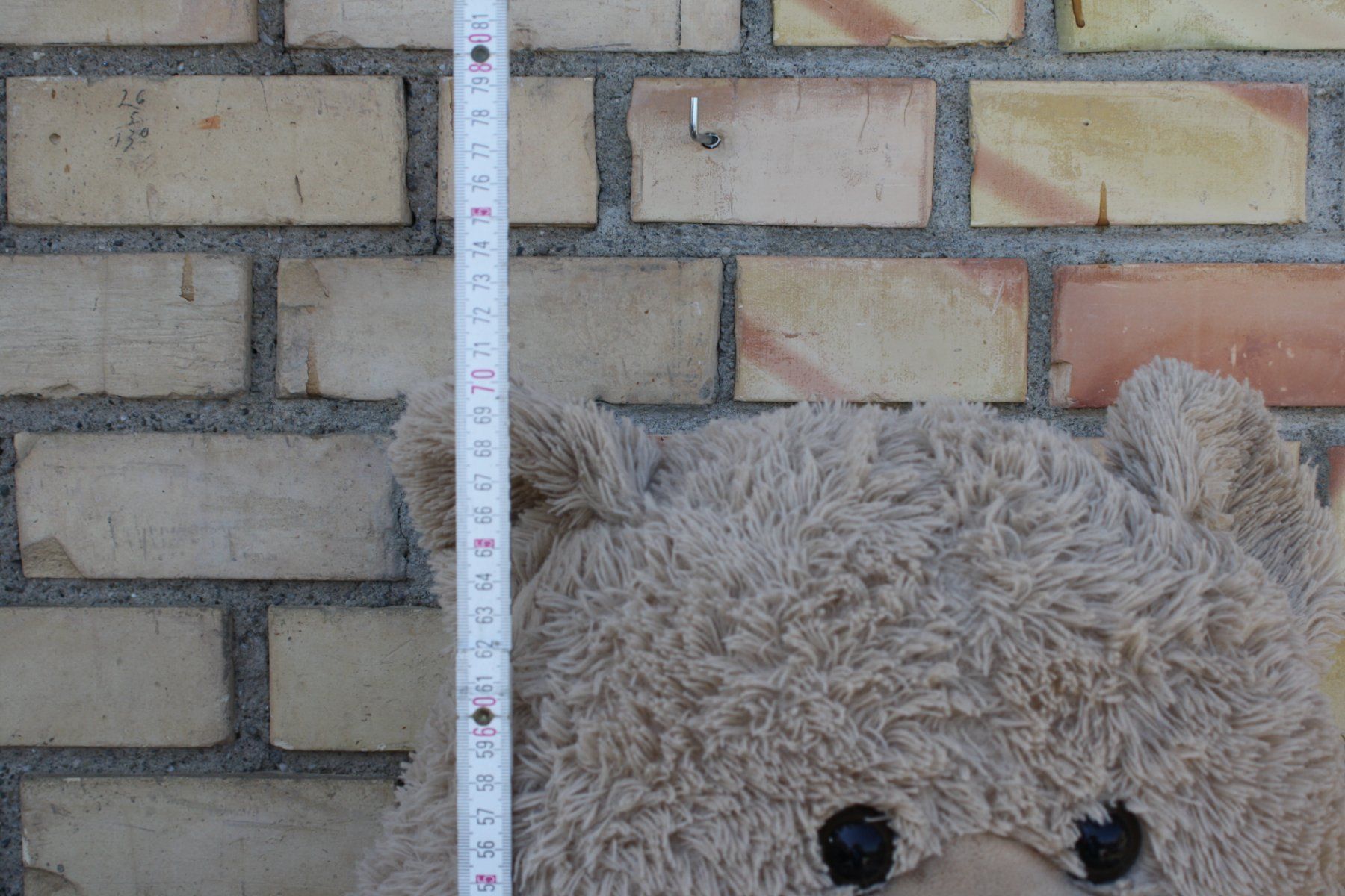 Spielzeuge: GROSSER TEDDYBÄR PLÜSCHBÄR – Gebraucht aus Wauwil von Pneuedy 6