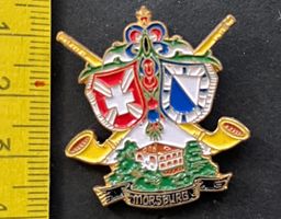 Mörsburg ZH, Wappen, Alphörner, Pin