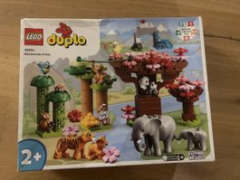 LEGO Duplo 10974 Wilde Tiere Asiens