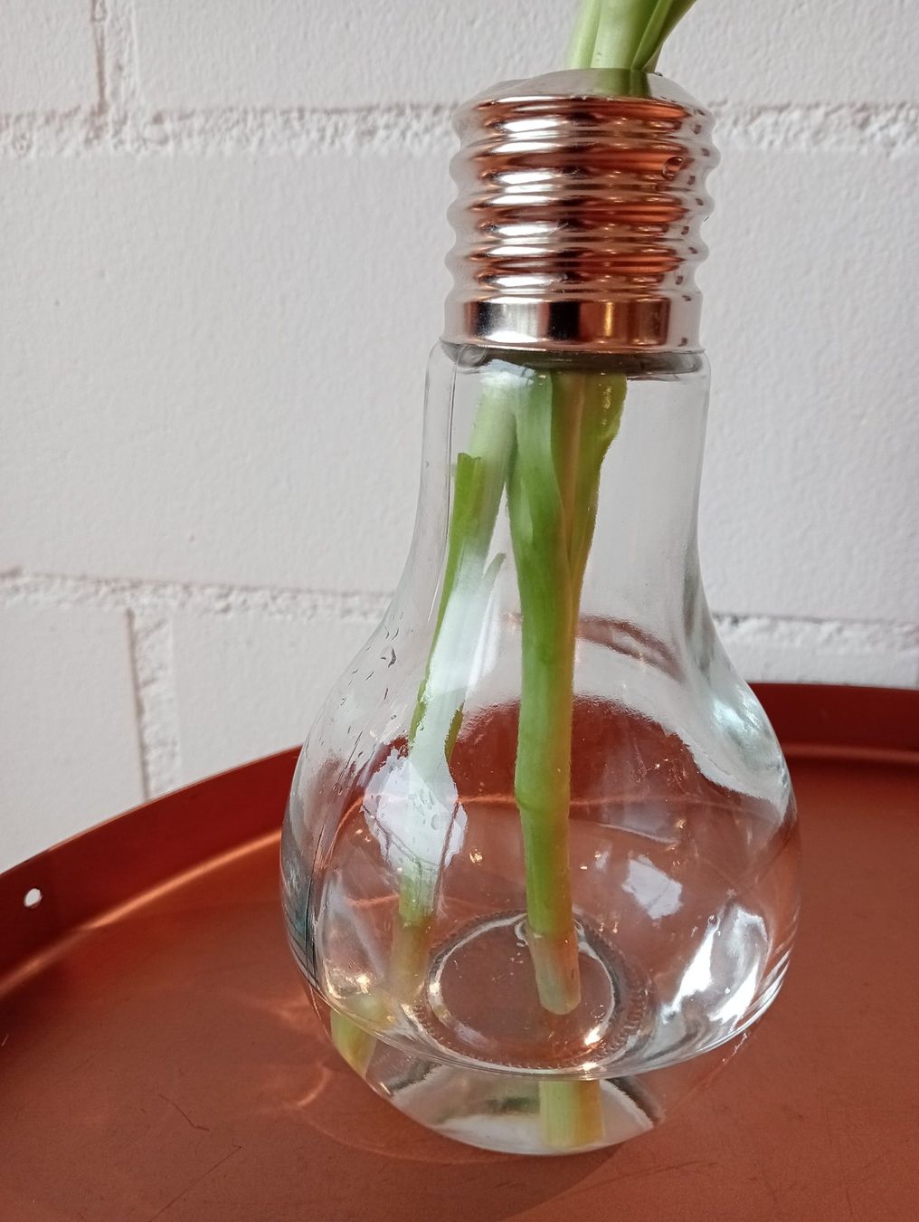 Vasi & Recipienti: Design Vase aus Glas – Usato da St.Niklausen LU venduto da Wirdbereitsverwendet 2
