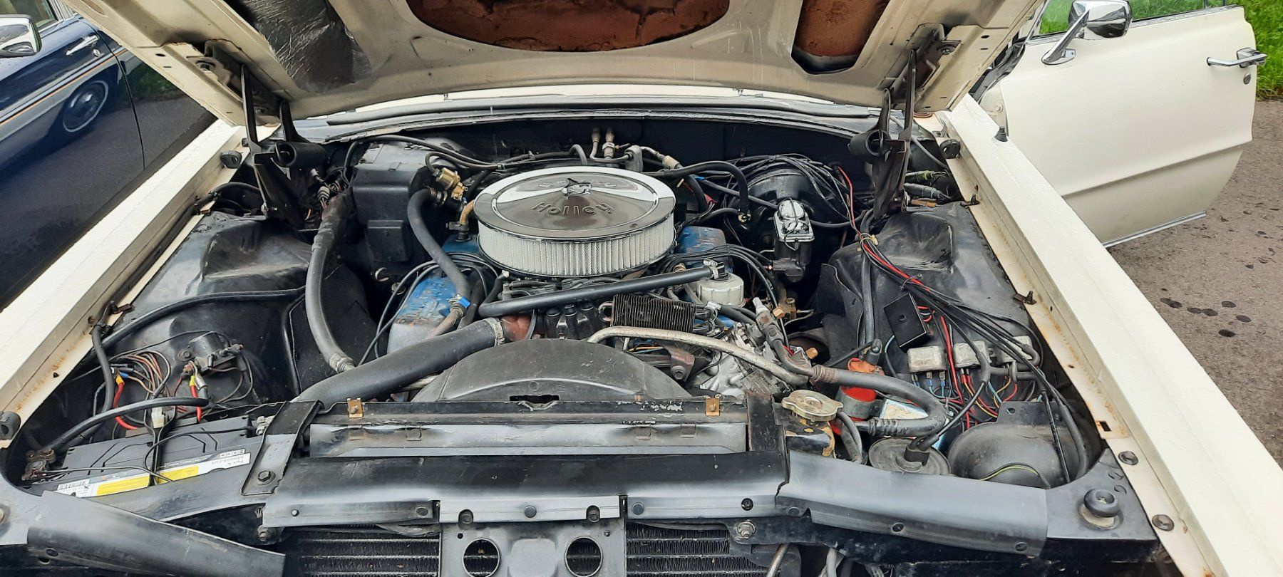 Ford (Usa) Automobili: Oldtimer Ford Thunderbird – Usato da Erstfeld venduto da JosefW01 5