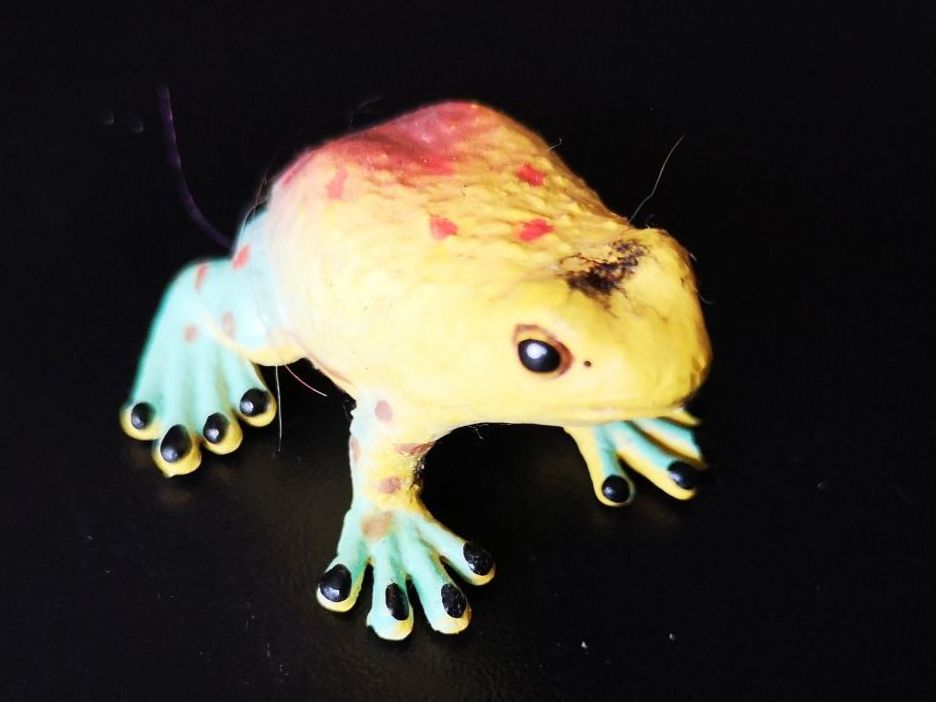 Giocattoli: Süsser bunter Baumsteigerfrosch – Usato da Liestal venduto da Gitterli01