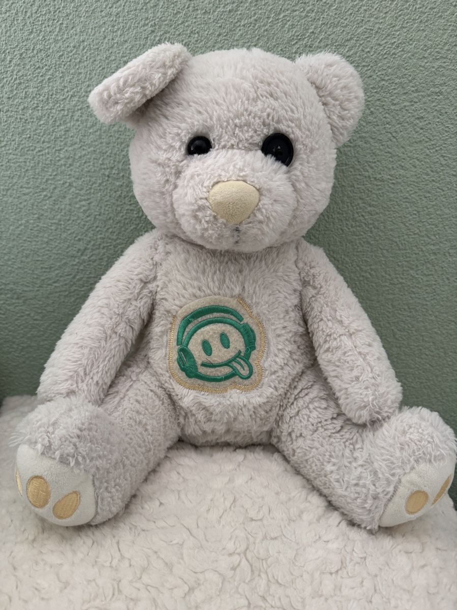 Giocattoli: Schwiizergoofe Teddybär  – Usato da Einigen venduto da karthun