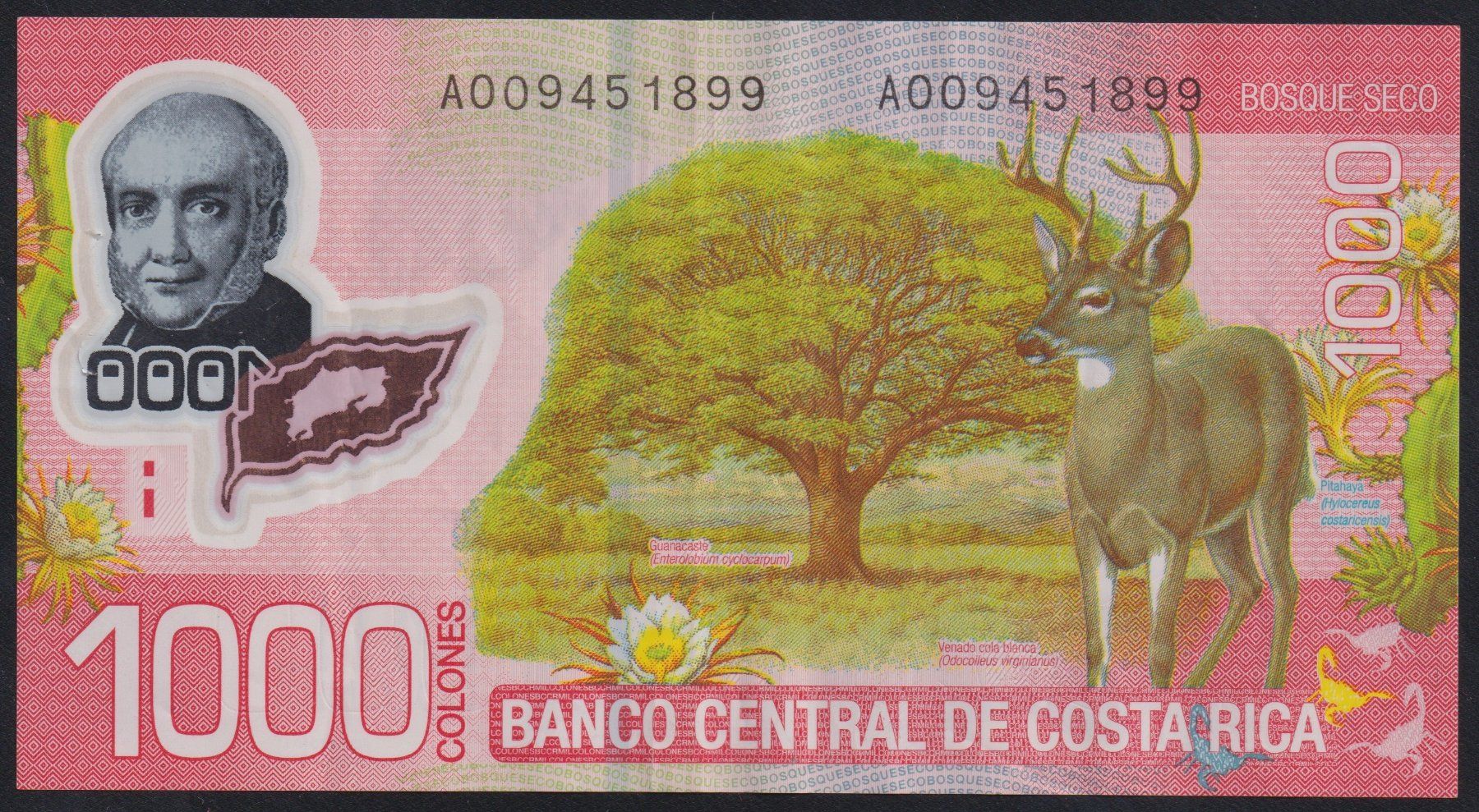 Banconote: Costa Rica 1000 Colones 2009 – Usato da Brugg AG venduto da banknoten_muesli