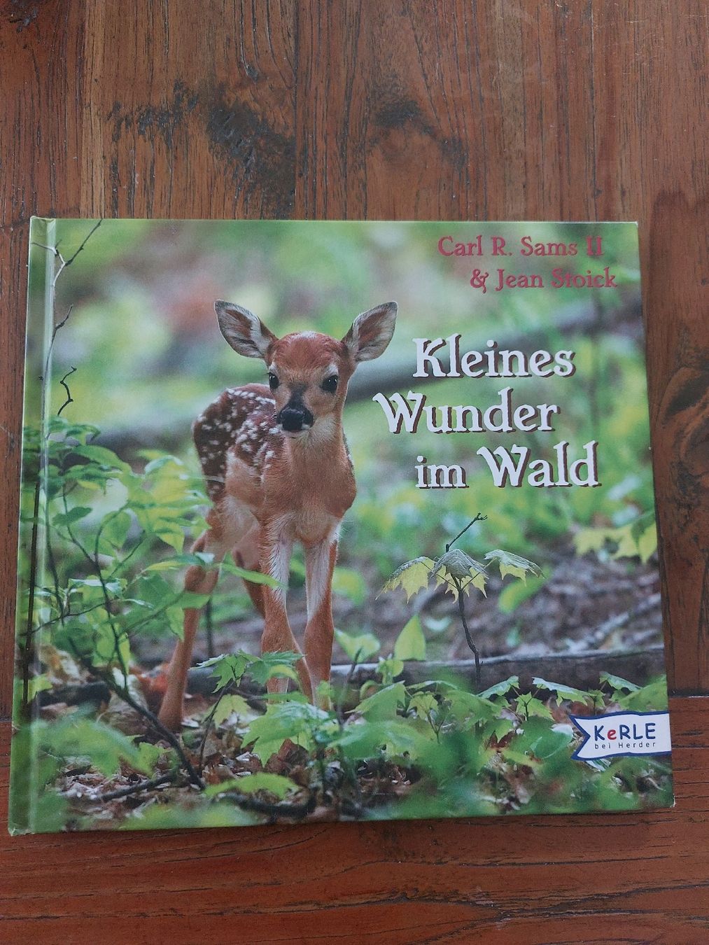 Bücher: Kinderbuch Kleines Wunder im Wald  – Gebraucht aus Wetzikon ZH von LTFKL5