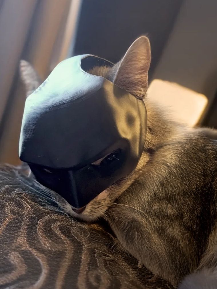 Giocattoli: Cat Mask Batman Style Black  – Nuovo (secondo la descrizione) da Dübendorf venduto da del_82k8 1