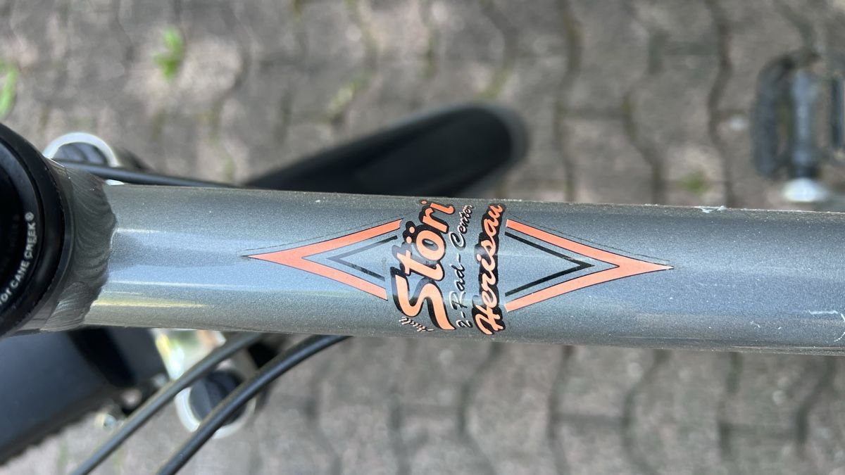 Giant Biciclette: Bike GIANT Grösse L – Usato da Herisau venduto da YOLO76 1