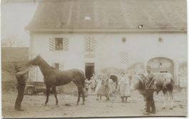 Landwirtschaft/Pferd/Kuh/Cheval/Vache 1910 Vaud?