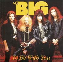 Mr. Big Vinyl Single von 1991