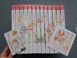Hatsu Haru 1-13 Manga + 2 Extras (Shoco & Shojo Moments)