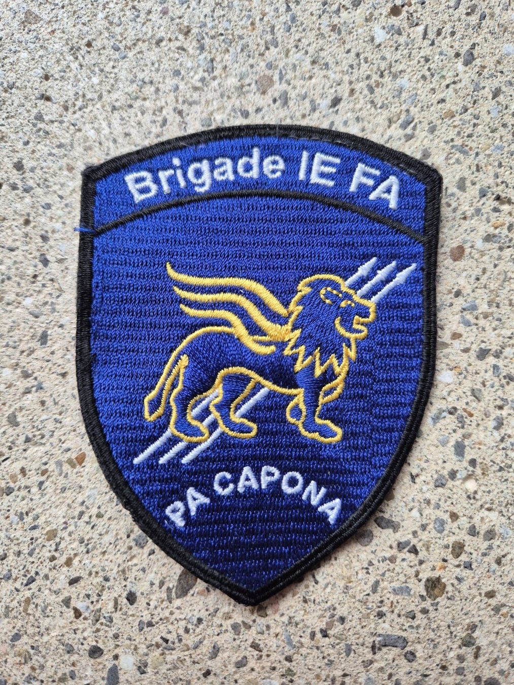 Schweizer Armee Placchette & Badge: *** Badge Brigade IE FA Pa Capona *** – Nuovo e nell'imballaggio originale da Riedholz venduto da fr_sIruP