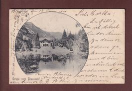 Gruss vom BLAUSEELI - 1900 // Eckbug //