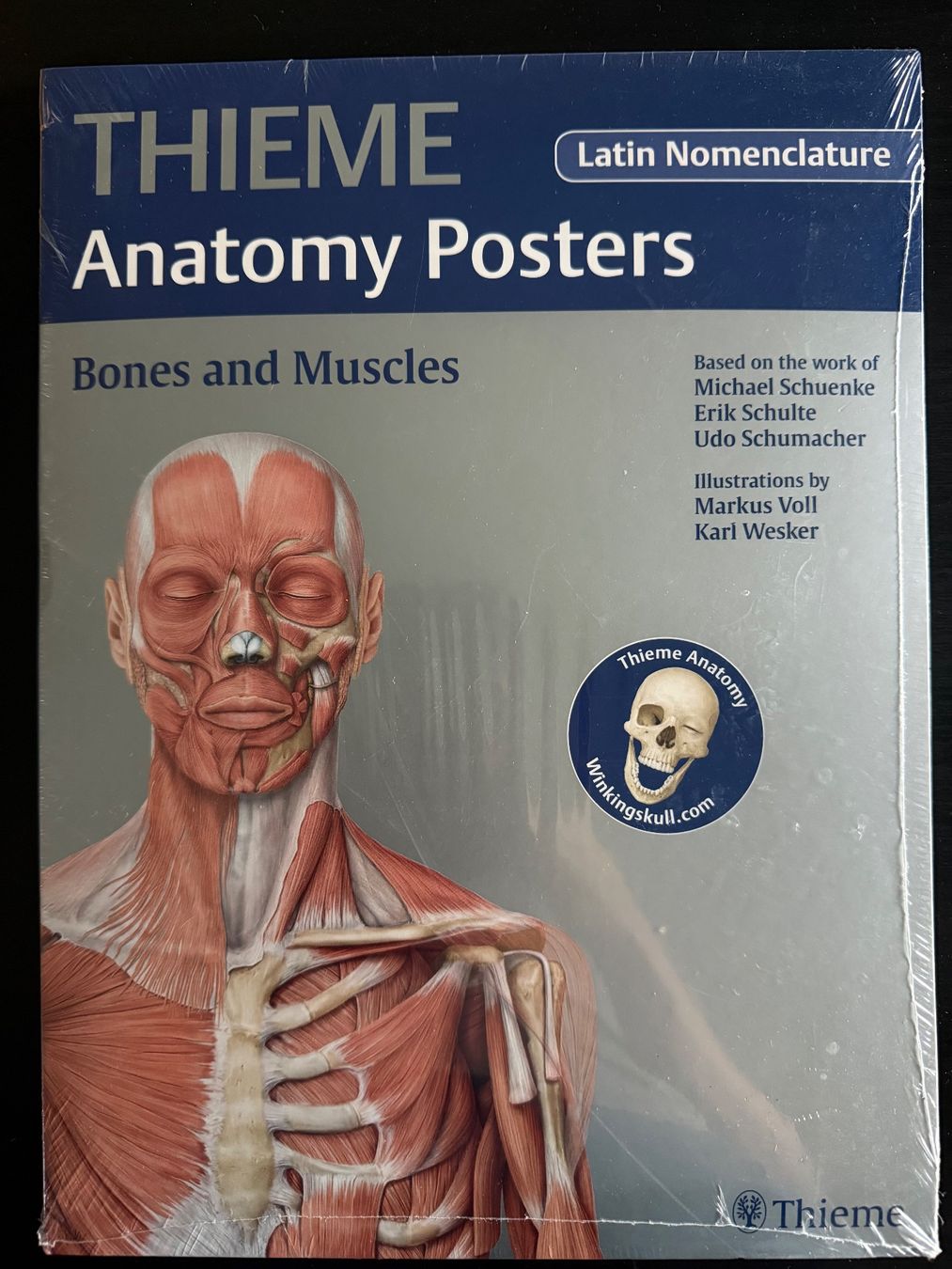 Foto & Immagini: Anatomy Poster von Thieme – Usato da Luzern venduto da oli_gns7