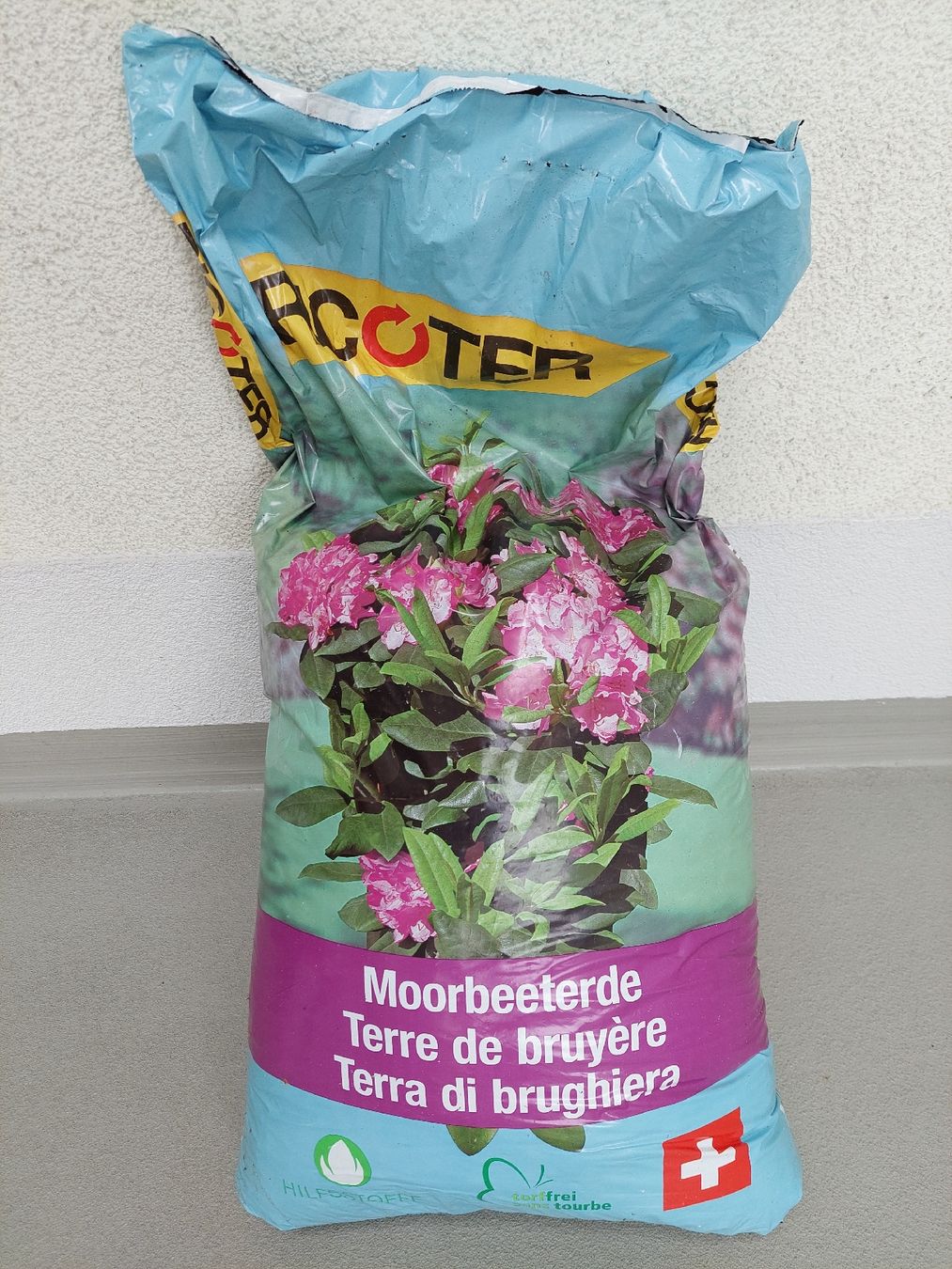 Piante & sementi: Tellerhortensie rosa, mit 50lt Moorbeeterde – Usato da Wilen b. Wil venduto da Sondai 1