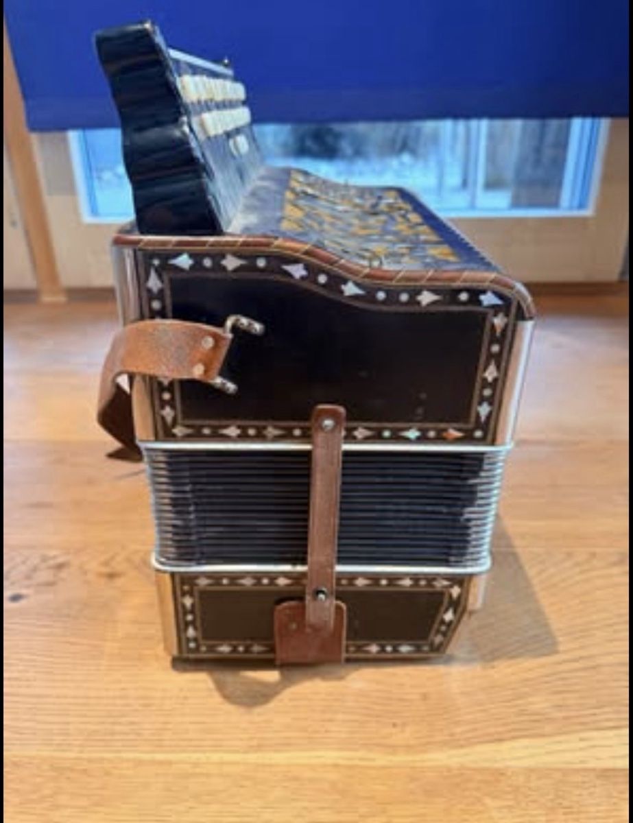 Strumenti musicali: Akkordeon Antik – Usato da Reichenbach i. K. venduto da muntschi01 4