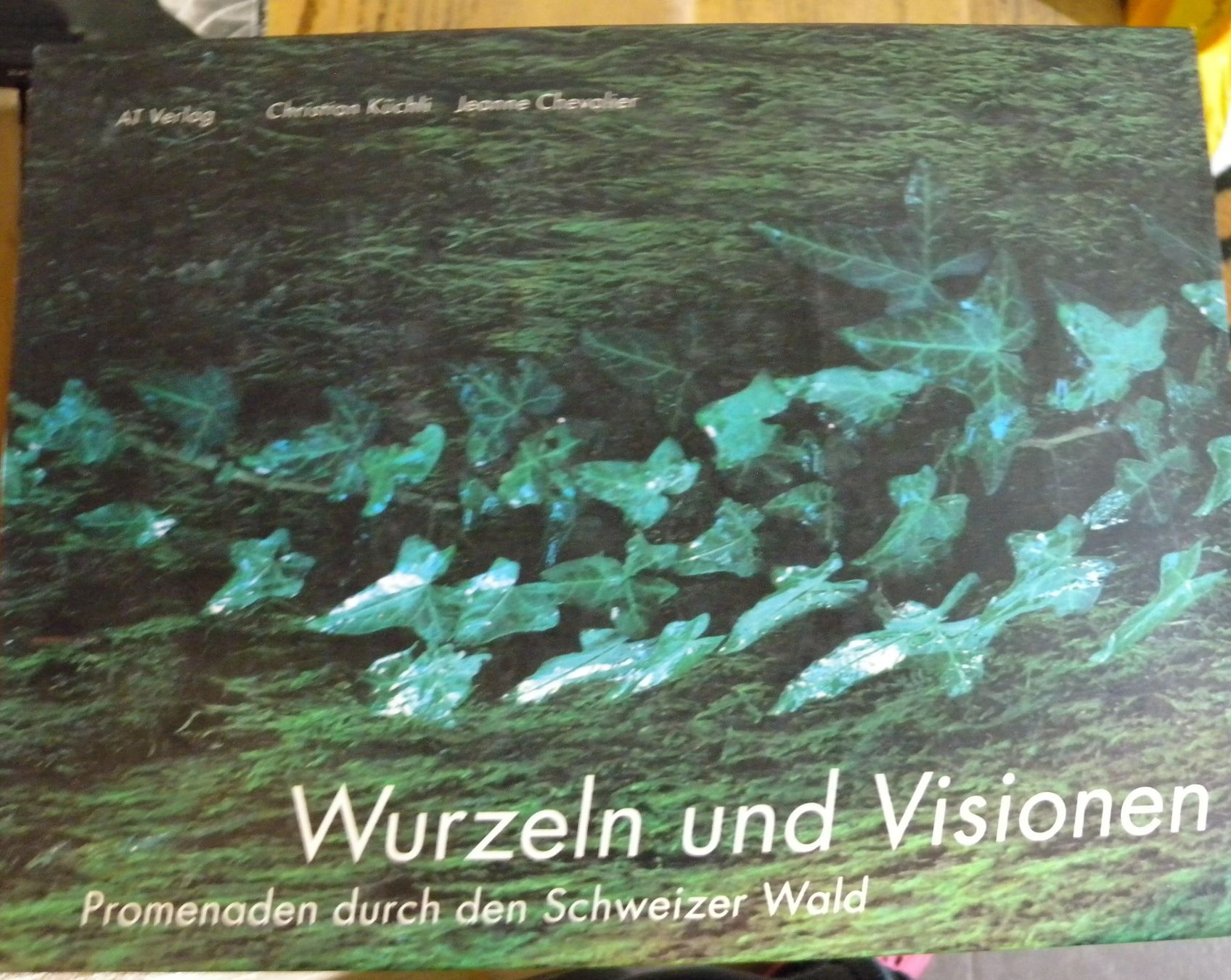 Libri: Wurzeln und Visionen: Schweizer Wald – Usato da Hauenstein venduto da davia72