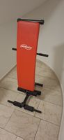 Physionics Bauchtrainer rot schwarz guter Zustand