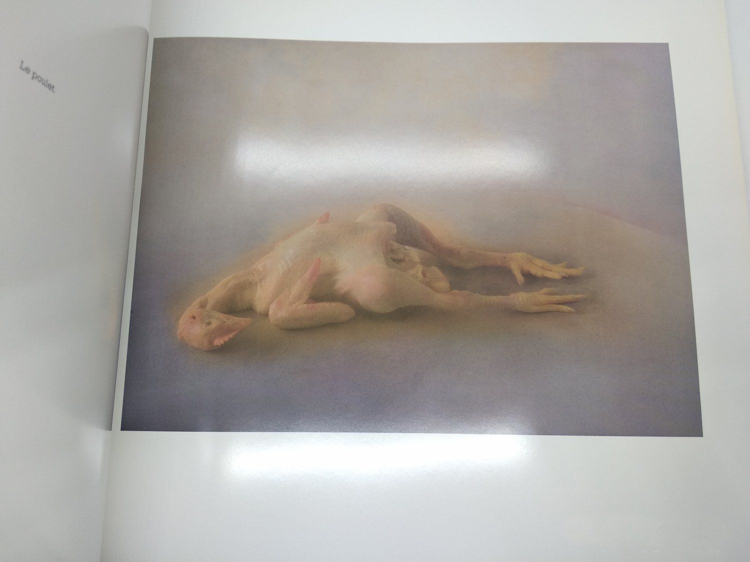 Bücher: FRANCOIS GILLET - PHOTOBOOK – Gebraucht aus Goldach von Gaip 1