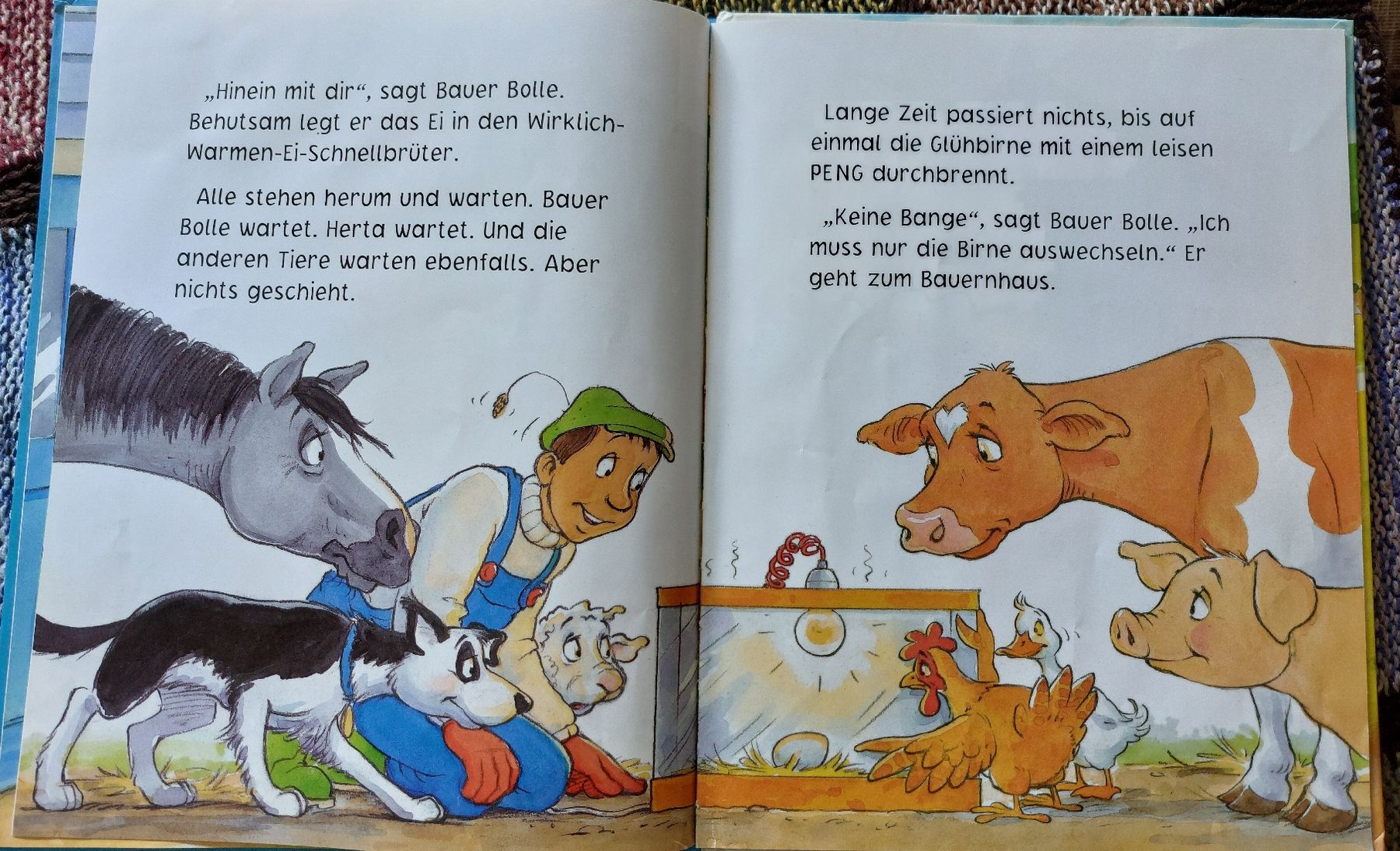 Libri: Bauer Bolle/Das dreizehn Ei/Buch  – Usato da Unterseen venduto da Ruia3333 2