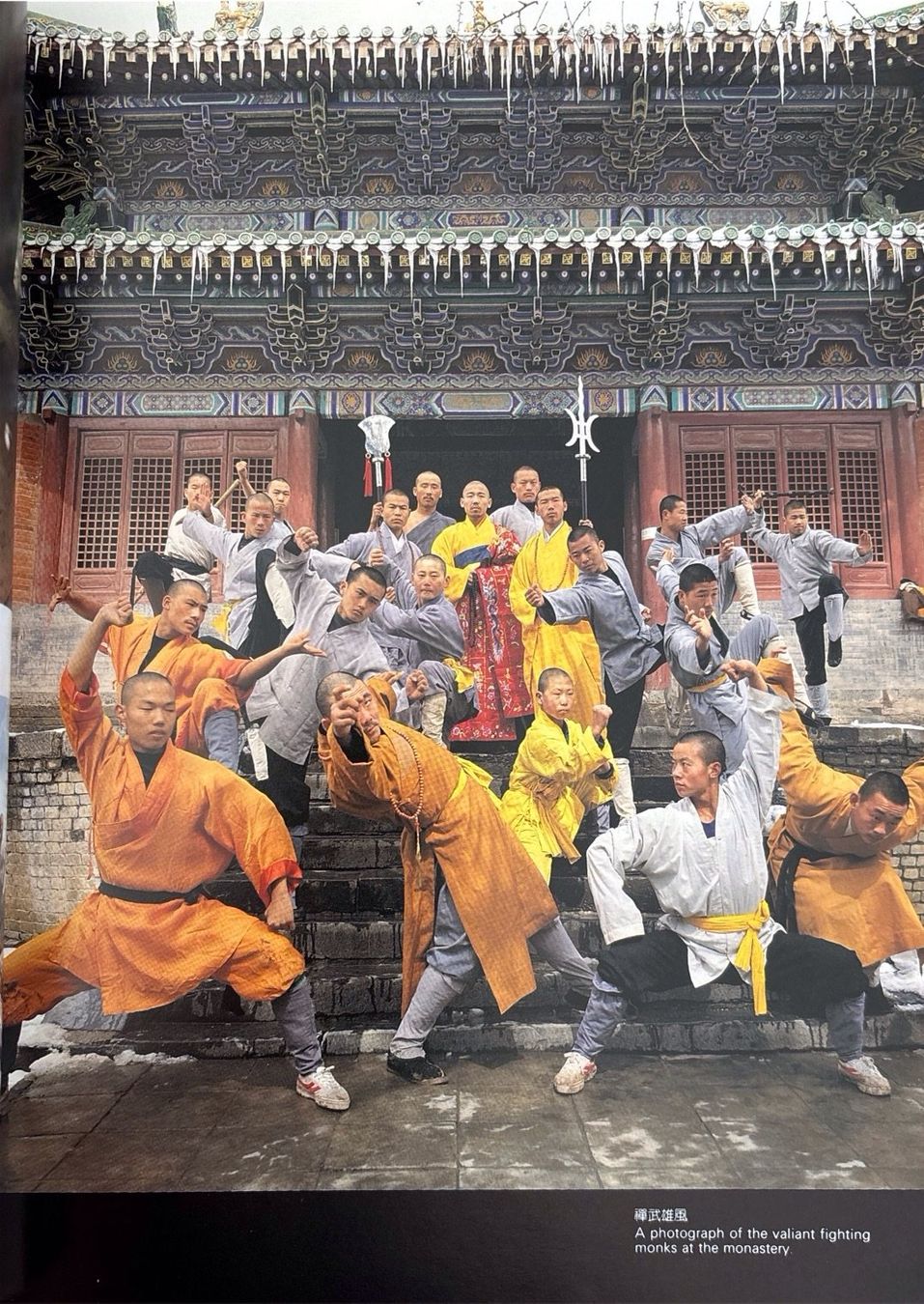 Libri: Ying Y.,  Shaolin Kungfu – Nuovo (secondo la descrizione) da Sarnen venduto da Livres 5