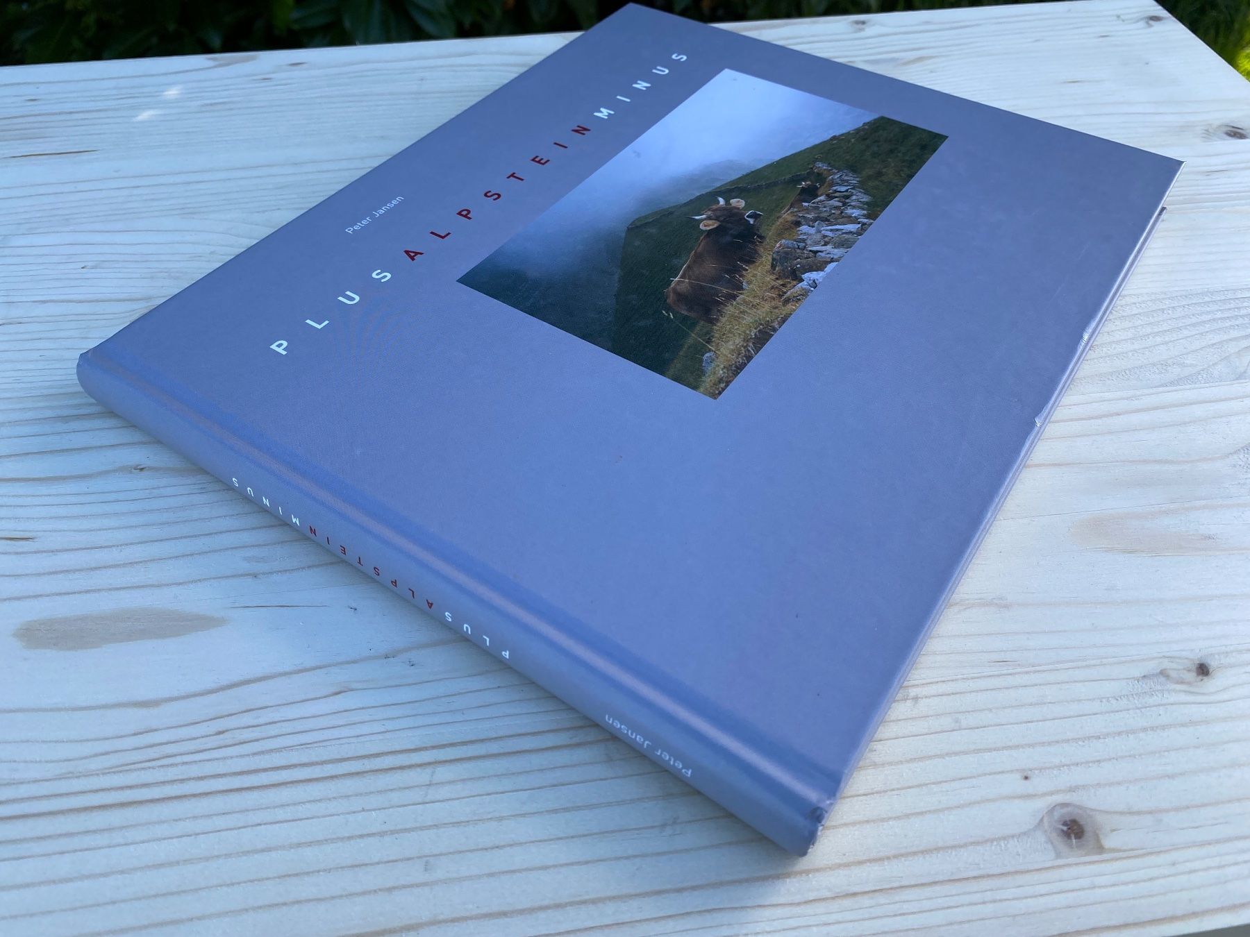 Campanacci mucche: Buch Plus Alpstein Minus – Usato da Feldbach venduto da Olive1 2