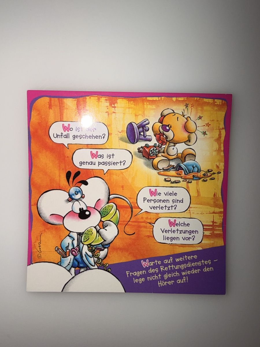 Cartoline: Diddl Sammel Postkarten – Usato da Bürglen TG venduto da caja.holzer 2